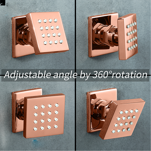 Sen âm trần YMSL6080(rose golden)